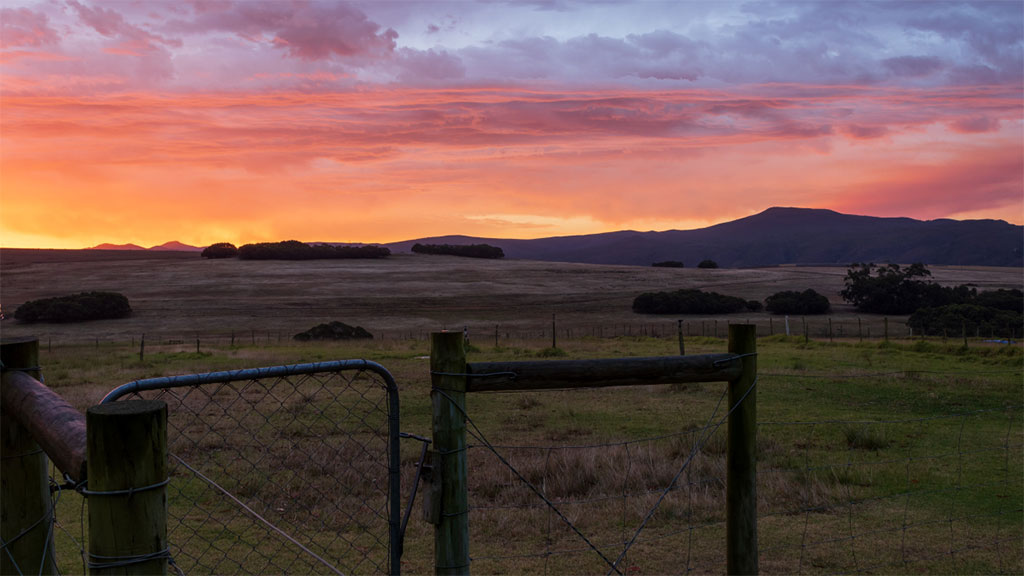 A view of a sunset looking over a steel gate