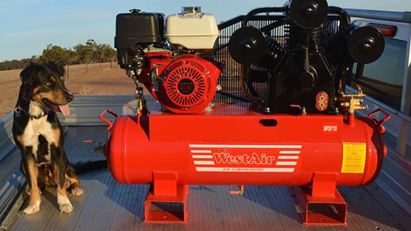 An air compressor in a ute tray with a brown dog sitting