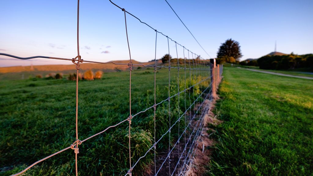 images/pages/news/choosing-the-right-fence-a-guide-to-fencing-for-livestock/choosing-the-right-fence-a-guide-to-fencing-for-livestock.jpg
